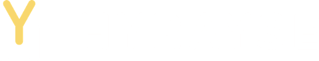 HYRAYSE Düsseldorf