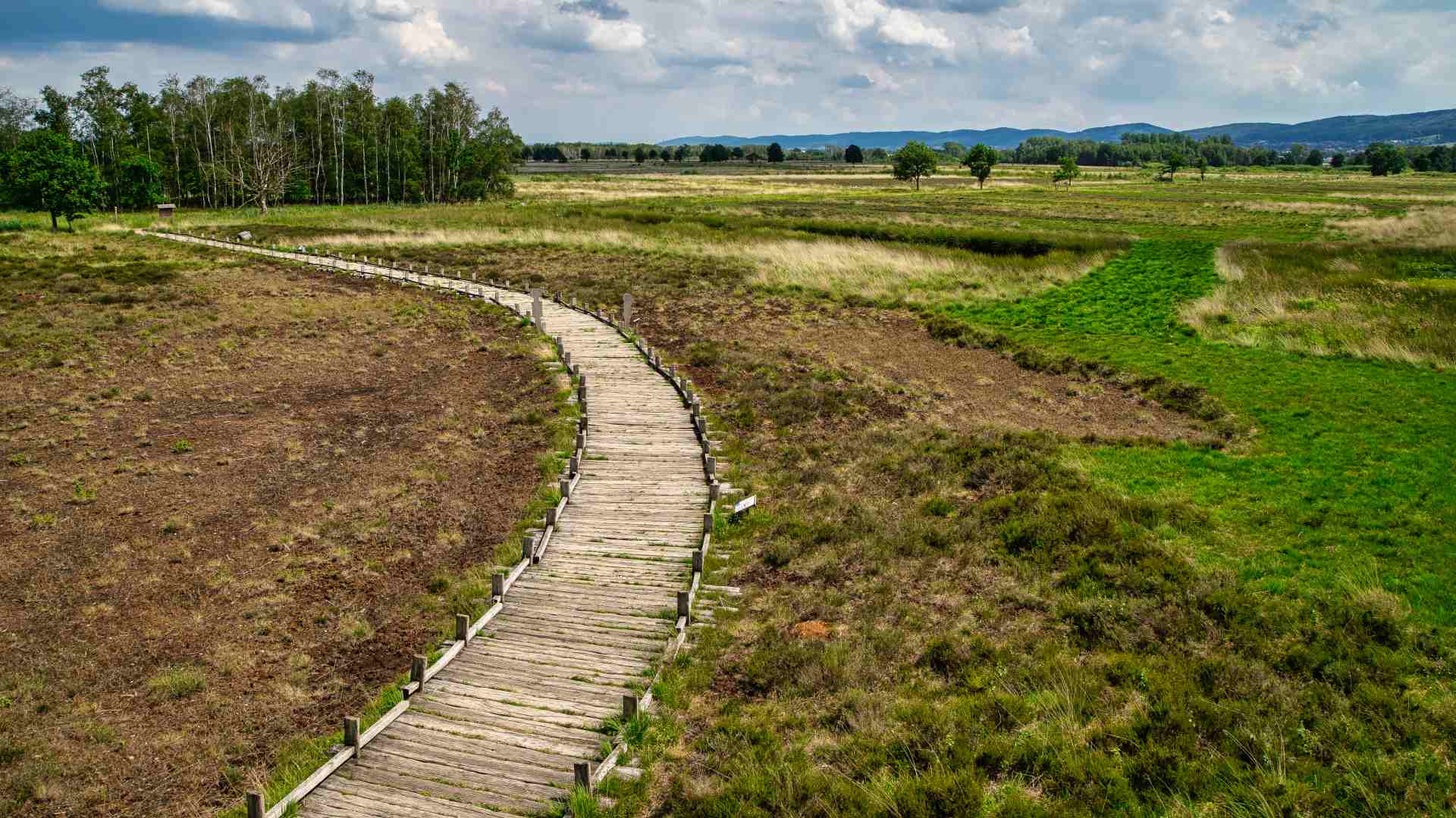 Großes Torfmoor bei Lübbecke – Firmenfitness und Gesundheitsangebote für Unternehmen in Espelkamp und Lübbecke