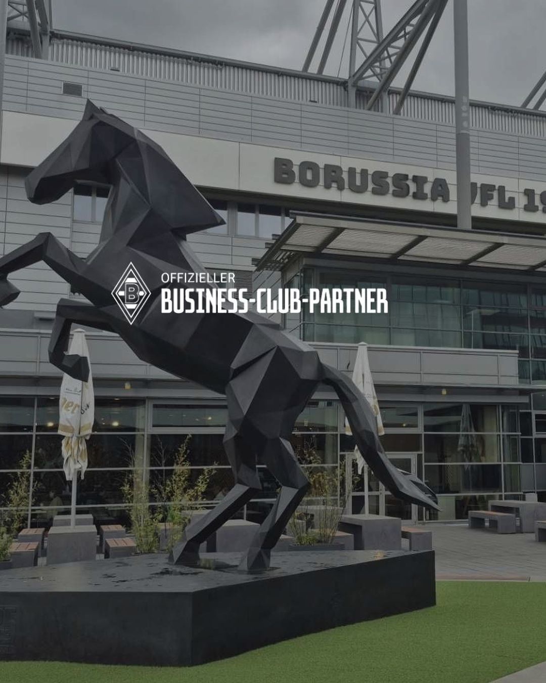 Mobiles Hero-Bild der Stadtseite Mönchengladbach mit dem Logo von Borussia Mönchengladbach. Sportnavi ist offizieller Business-Club-Partner von Borussia Mönchengladbach und unterstützt Unternehmen mit Firmenfitness in Mönchengladbach und Umgebung.