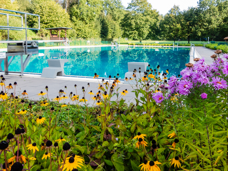 Hier gehts zu Tageskarte Schwimmbad