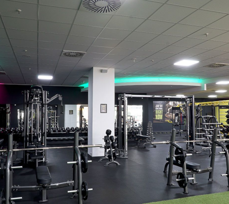 Hier gehts zu Freihanteltraining