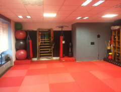 Hier gehts zu Body Assistant Training (1x pro Monat)